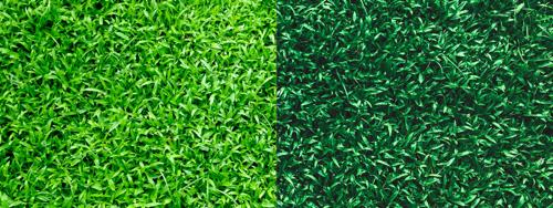 How to Make a Green Moody Look in Photoshop