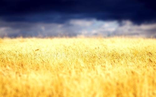 Wallpaper of the Week #25 by Majk M. Miklavc