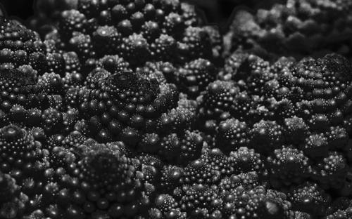Wallpaper of the Week #27 by Guenter Hoeps