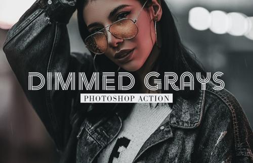Dimmed Grays Photoshop Action