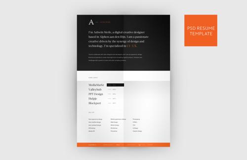 Web Designer Resume Template 