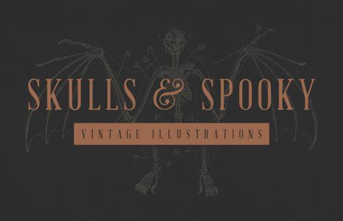 Vintage Skulls & Spooky Illustrations