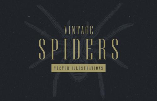 Vintage Spiders Vector Illustrations