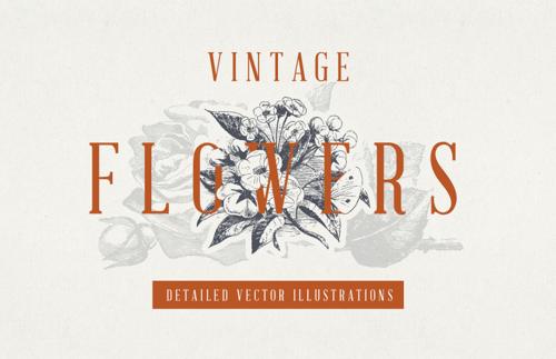 Vintage Floral Vector Illustrations