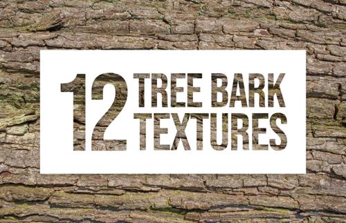 Tree Bark Textures