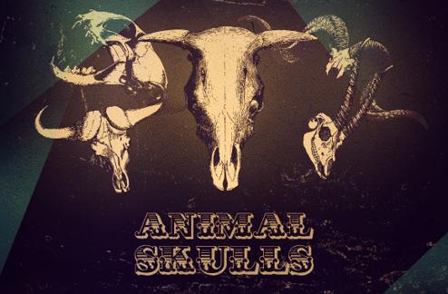 Animal Skull vectors