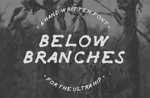 Detailed Vector Branches