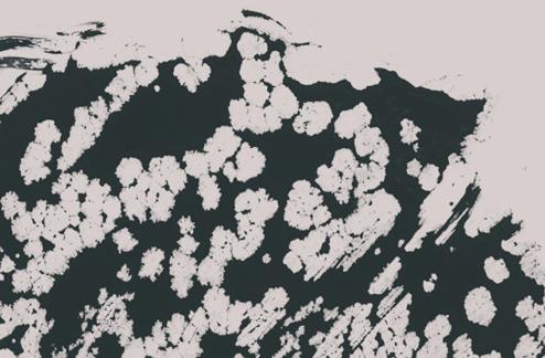 Decayed Ink Brushes