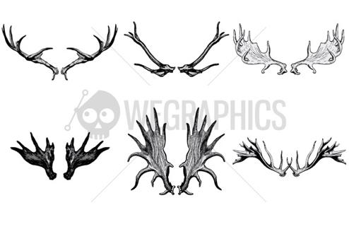 Deer's antler illustrations