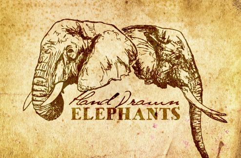 Hand Drawn Elephant Vectors