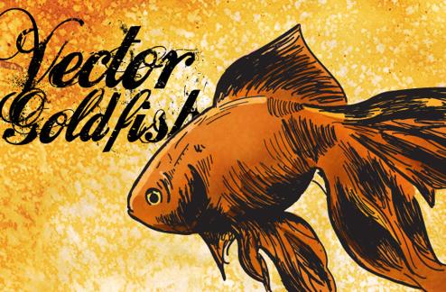 Vector Goldfish