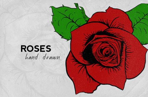 Hand drawn roses