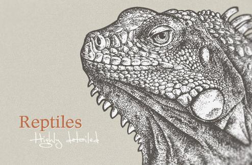 Highly detailed cold-blooded animals