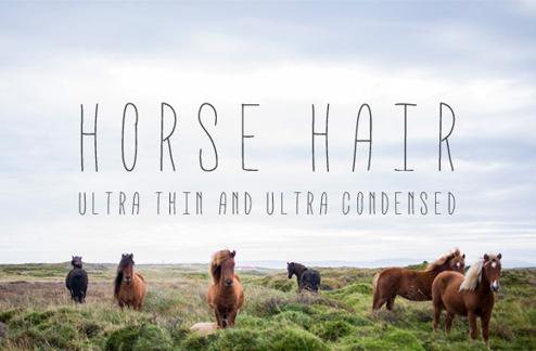 Horse Hair - Ultra Thin Font Face