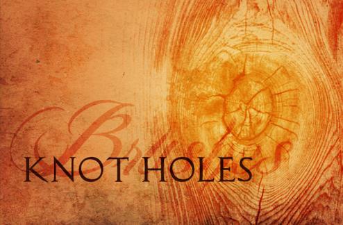 Wooden Knot Hole Brushes