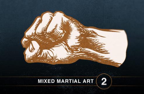 Mixed Martial Art Vol2