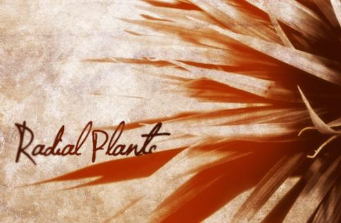 Radial Plants Brush Set
