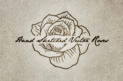 10 Hand Sketched Vector Roses