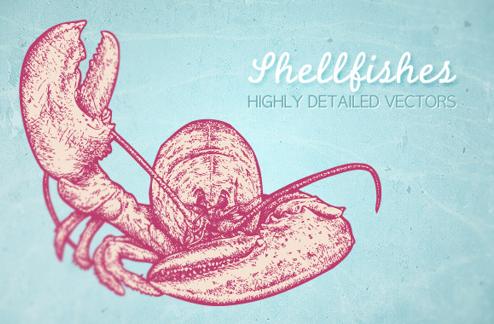 Shellfishes vector illustrations