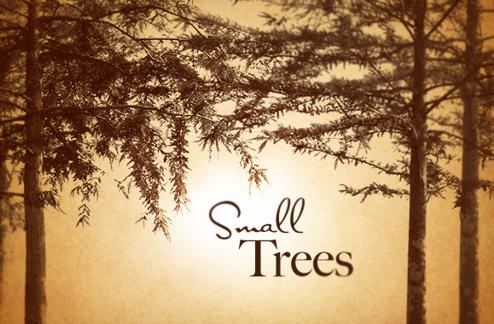 Small Trees Photoshop Brush Set