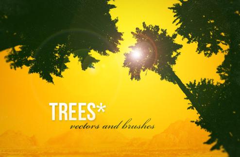 Trees Silhouettes