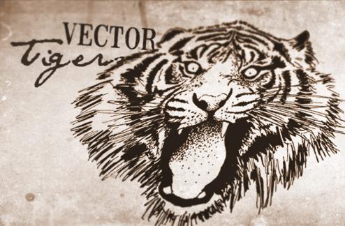 Vector Tigers