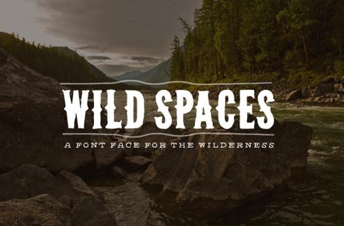 Wild Spaces - Wilderness Font Face