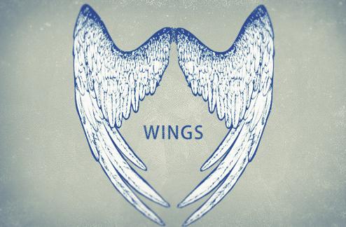 Highly detailed wings