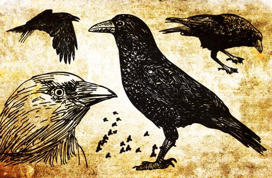 Image Thumbnail
