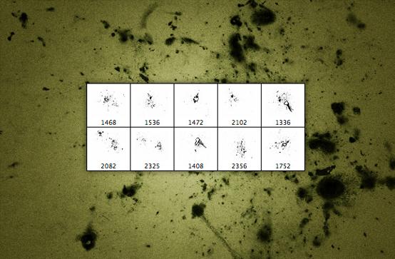 Image Thumbnail