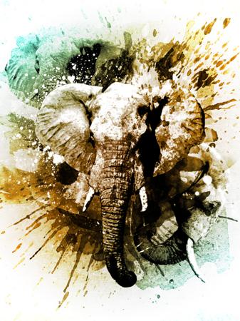Creating an Expressive Painting Using a Freestyle Method in Photoshop