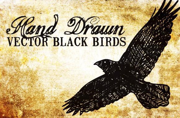 Large 20 Hand Drawn Vector Black Birds