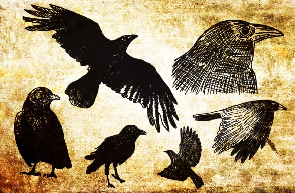 Large 20 Hand Drawn Vector Black Birds