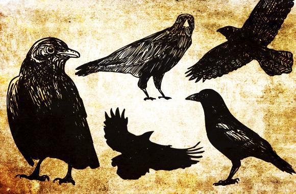 Large 20 Hand Drawn Vector Black Birds