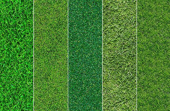 Large Seamless Grass Textures