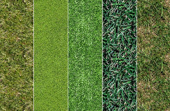 Large Seamless Grass Textures
