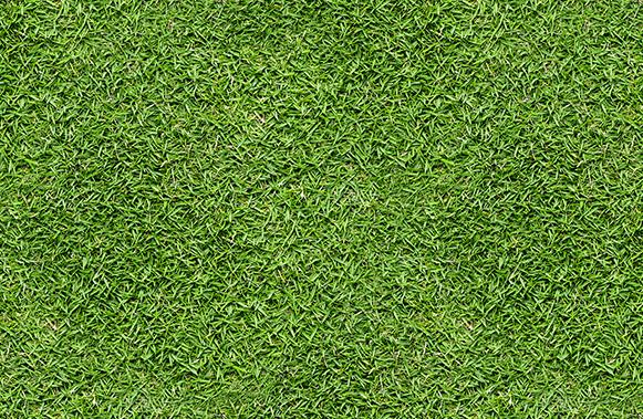 Large Seamless Grass Textures