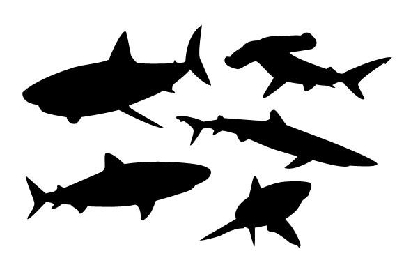 Large Vector Shark Silhouettes