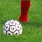 bottom article image 01